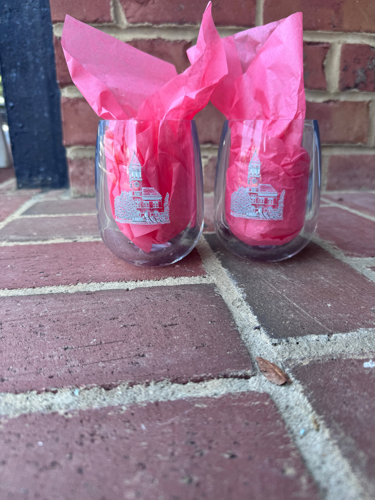 Historic Rome Courthouse Tumbler
