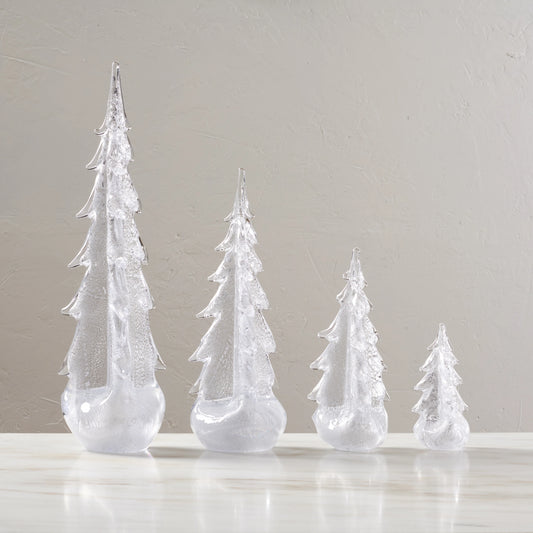 Silver Leaf Evergreen