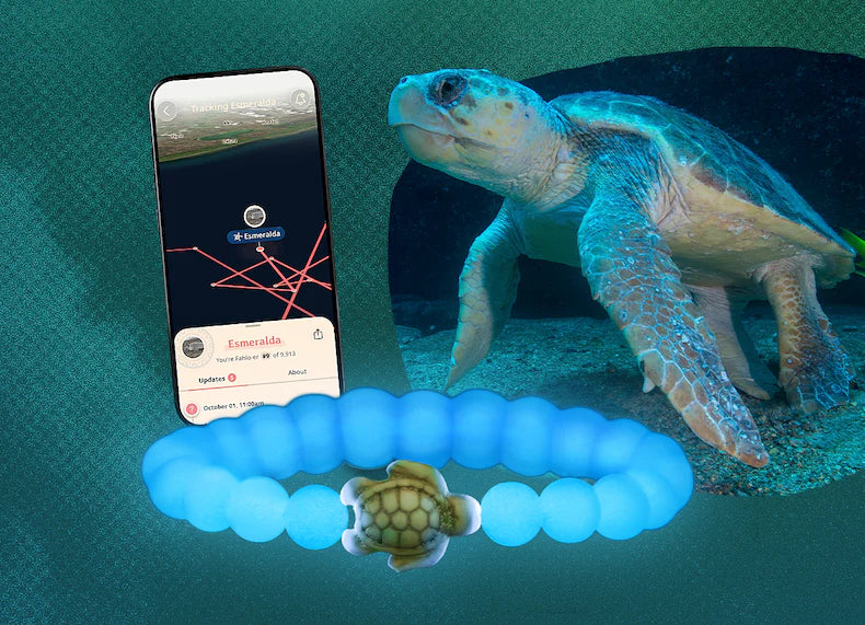Glow-In-The-Dark - Spring Collection