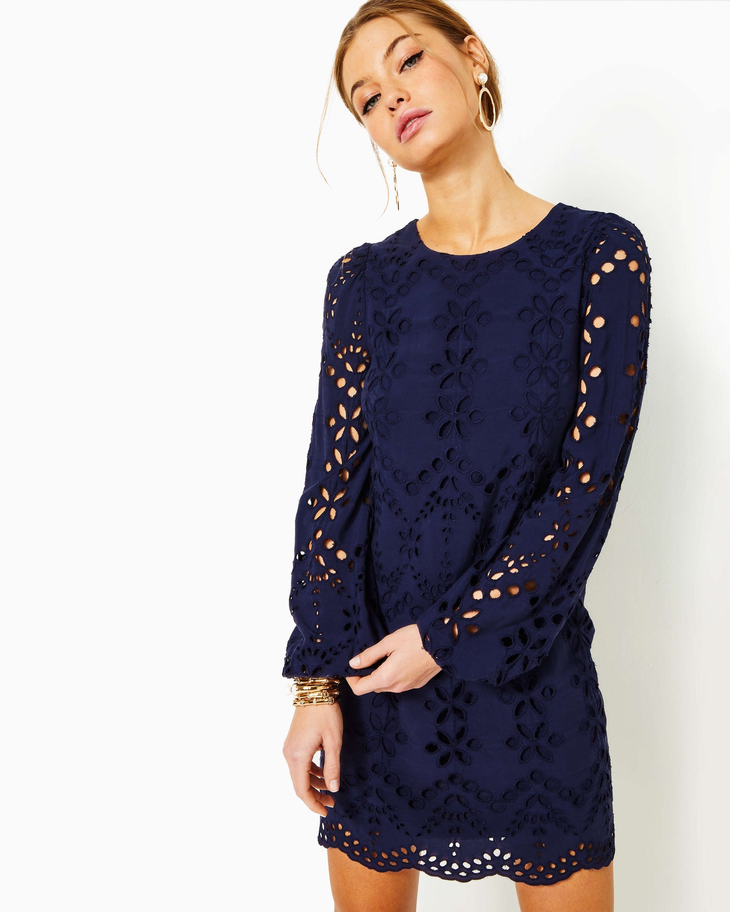 Alyna Long Sleeve Eyelet Dress