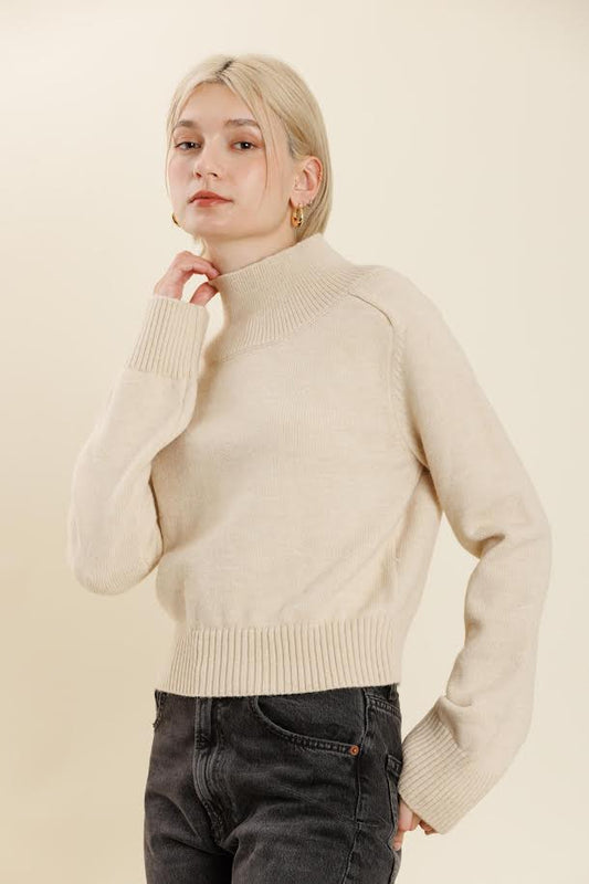 Turtleneck Sweater