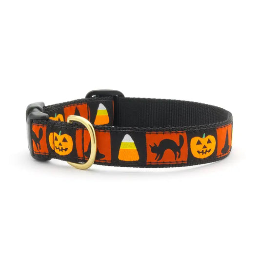 Halloween Dog Collar- Large