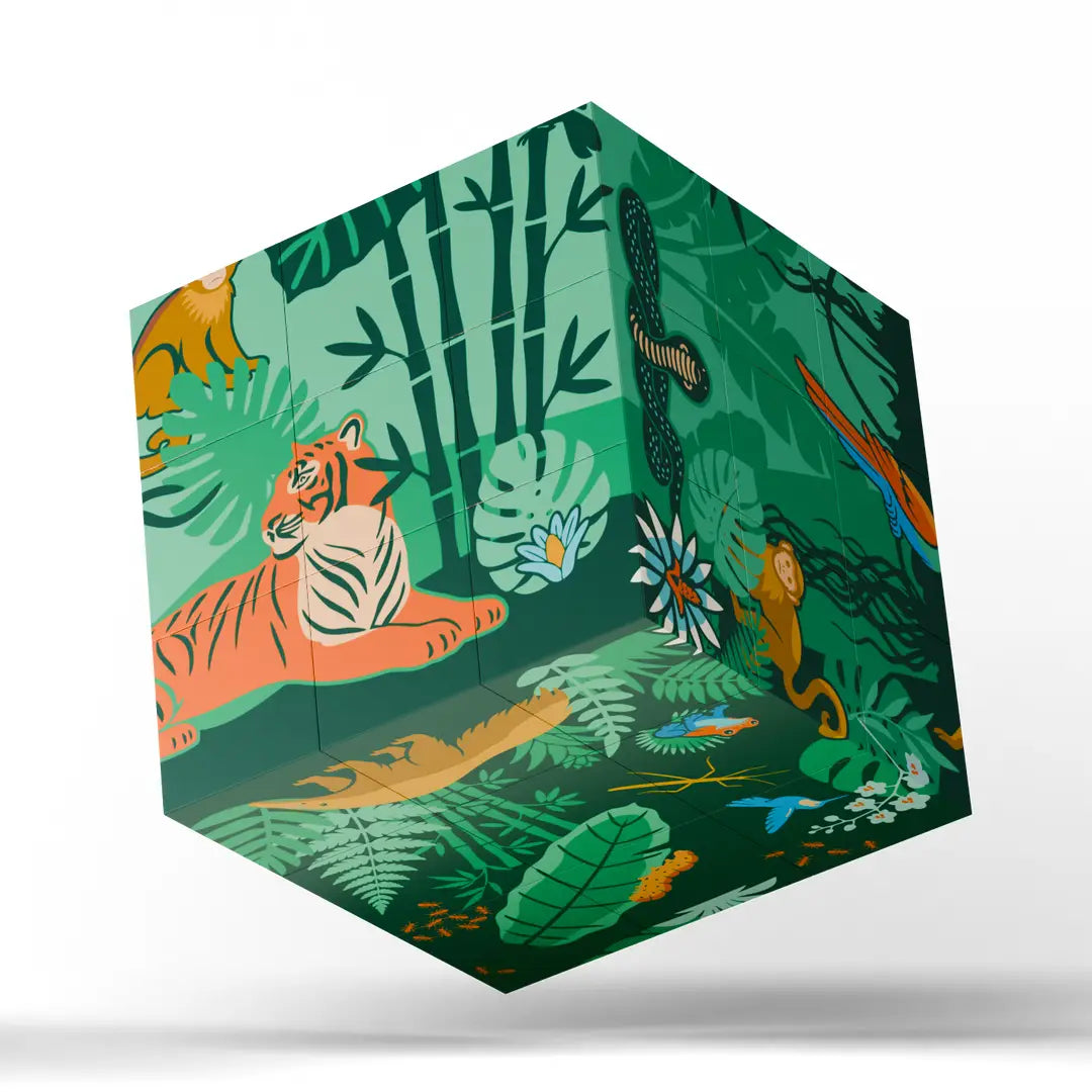 Magnetic Puzzle Cube