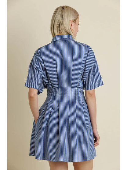Pleated Dress