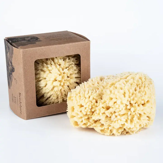 Large Wool Sponge