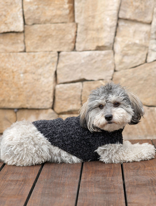 CozyChic™ Ribbed Pet Sweater - Carbon/Black