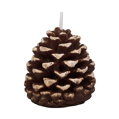 Pine Cone Candle