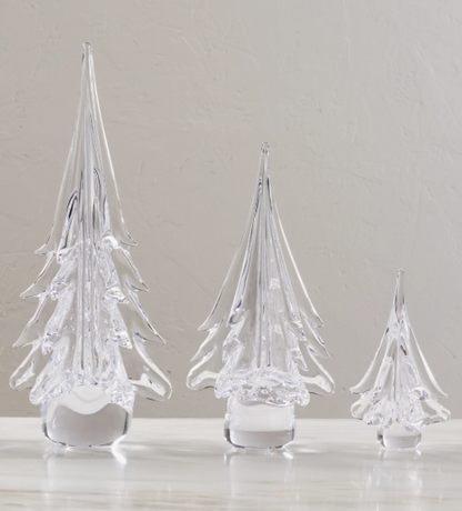 Spruce Evergreen
