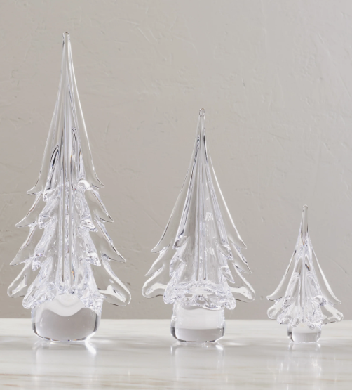 Spruce Evergreen