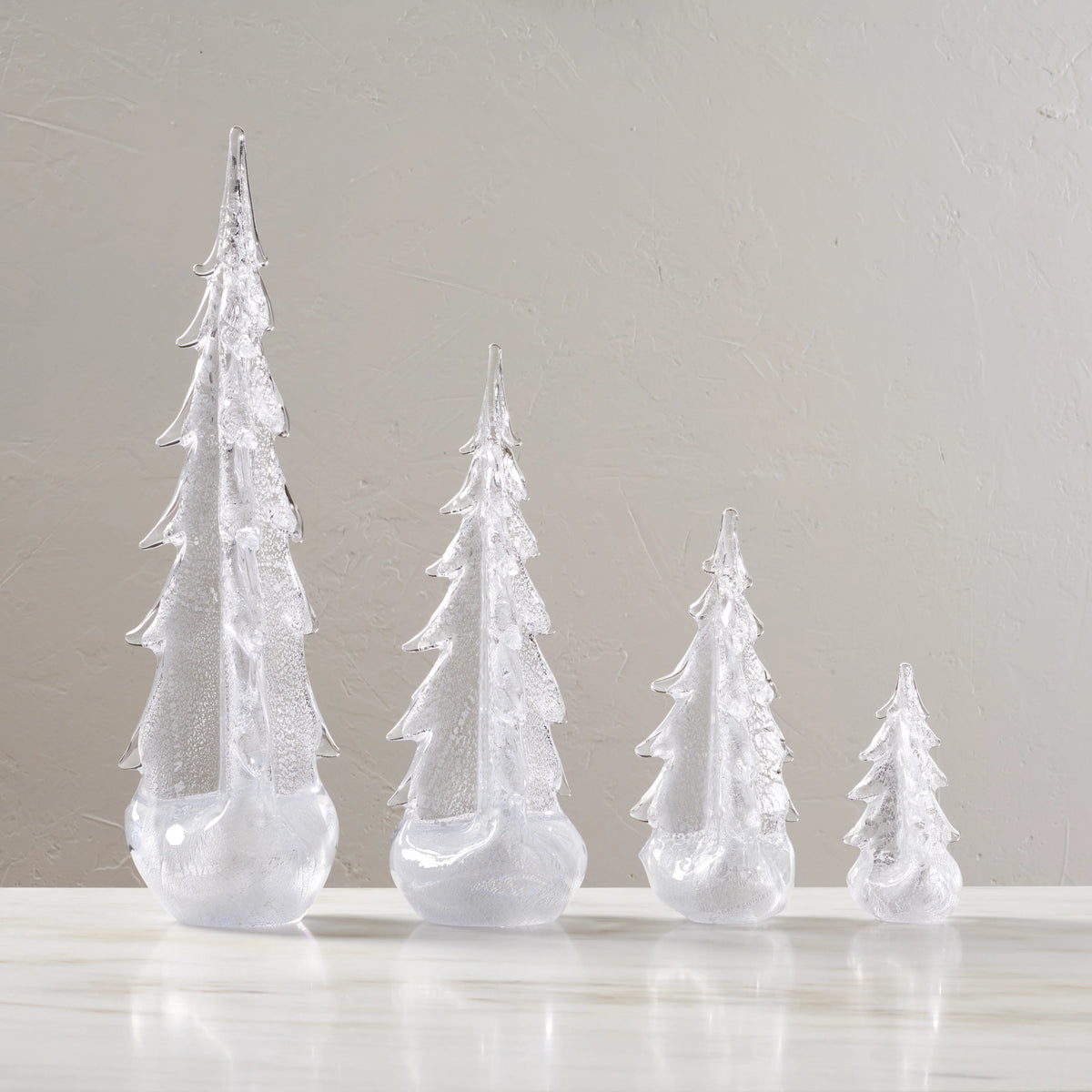 Silver Leaf Evergreen