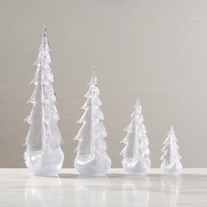 Silver Leaf Evergreen