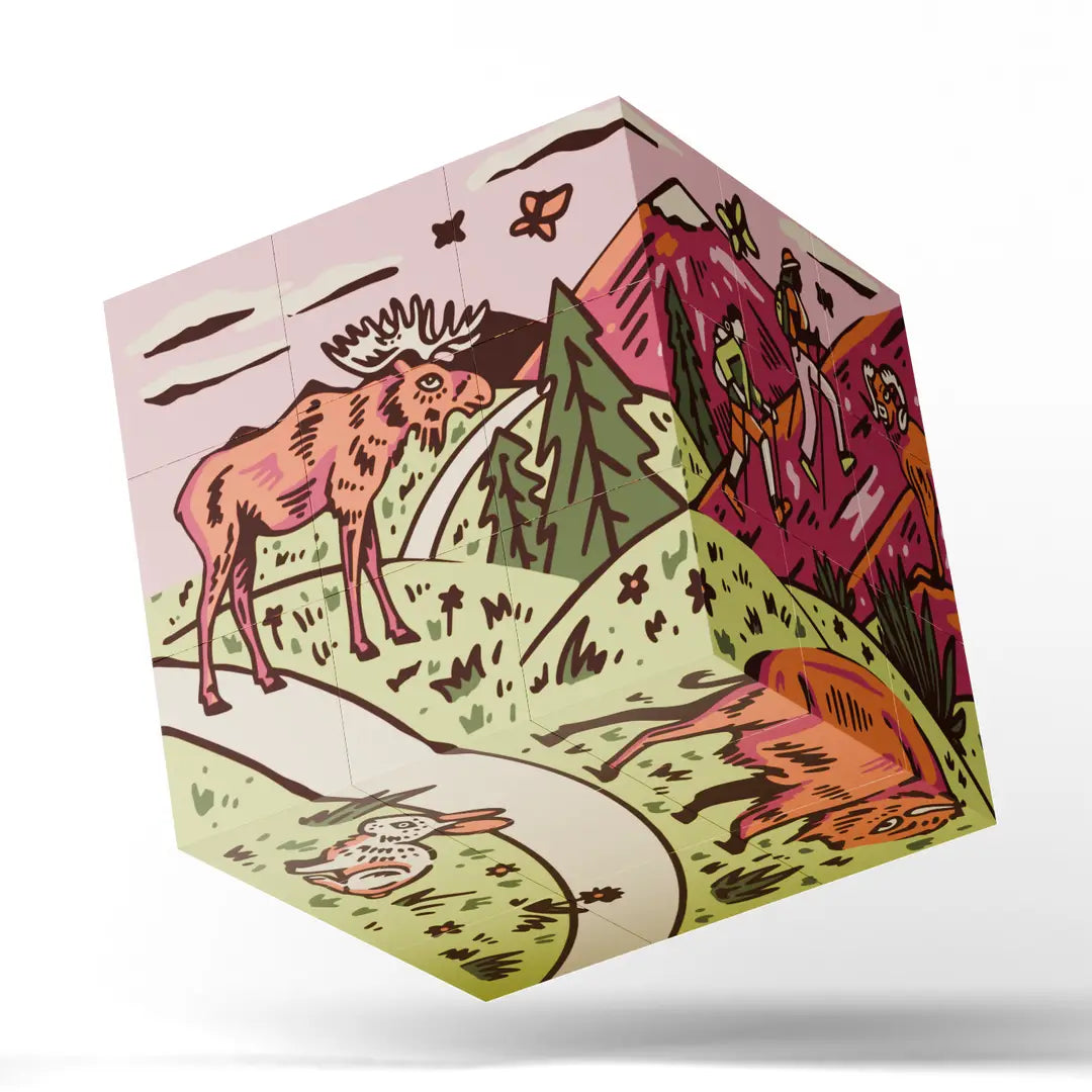 Magnetic Puzzle Cube