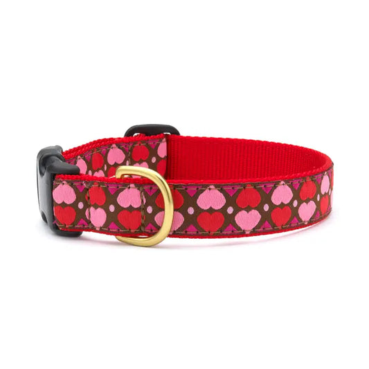 All Hearts Dog Collar M