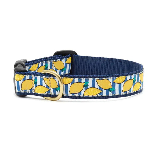 Make Lemonade Dog Collar M