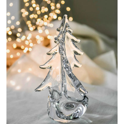 Vermon Twist Evergreen